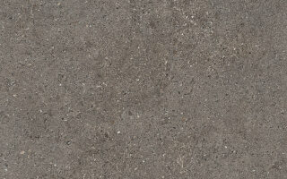 SOIL GREY